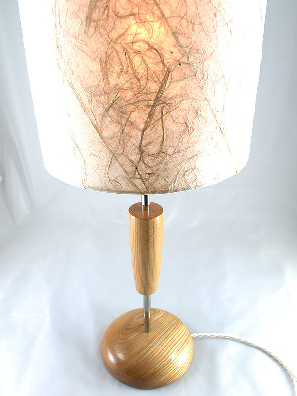 Tyne light in English Elm