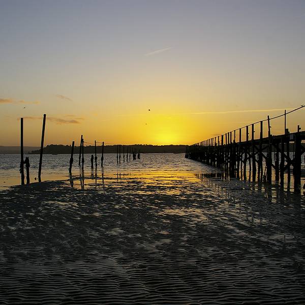 Poole Harbour