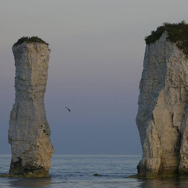 Old Harry