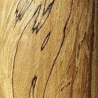 Spalted Beech wood-13