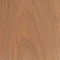 European Walnut wood-8